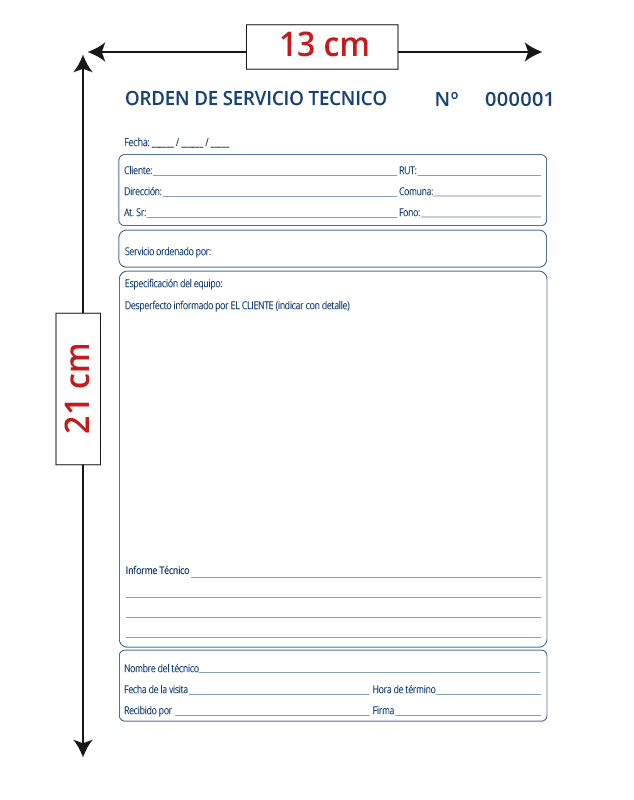 10 Media Carta